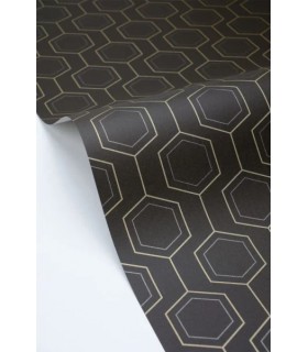 PP CASE. HEXALINE NOIR OR 10713 VPNT2