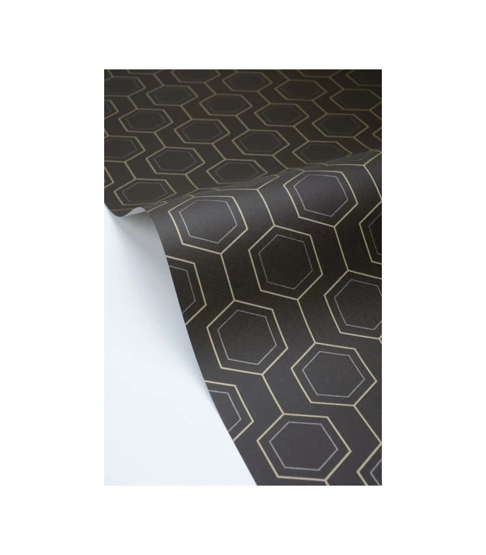 PP CASE. HEXALINE NOIR OR 10713 VPNT2