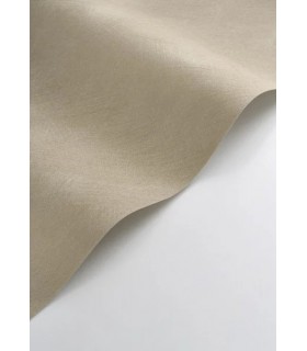 PP CASAD. NEST LIN 20100 VI