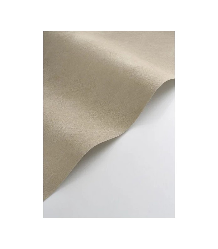 PP CASAD. NEST LIN 20100 VI