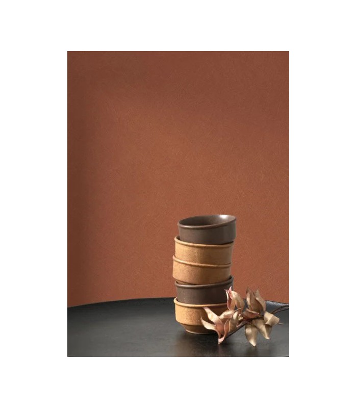 PP CASAD. NEST BRIQUE 20100 VI