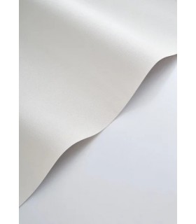 PP CASAD. CARACTERE BLANC POL. 20117 VI