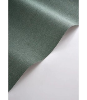 PP CASAD. CARACTERE BLEU PAON 20117 VI