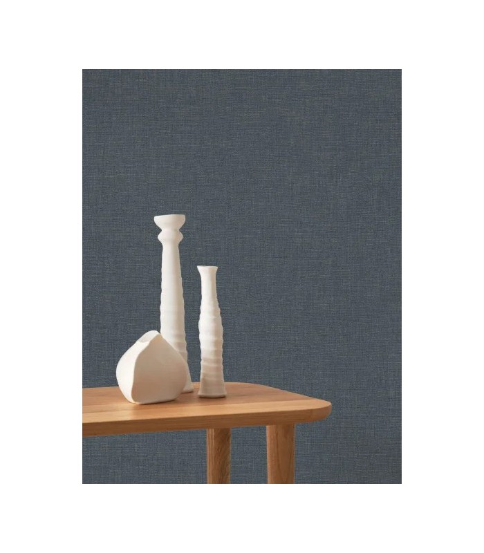 PP CASAD. CARACTERE BLEU ORAGE 20117 VI