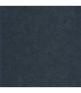 PP CASAD. CÔTE D'OPALE BLEU O. 20149 VINT