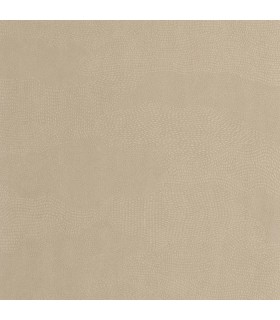 Papier peint Casadeco - Nubio beige lin - 20113 VINT10