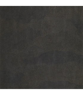 Papier peint Casadeco - Nubio encre - 20113