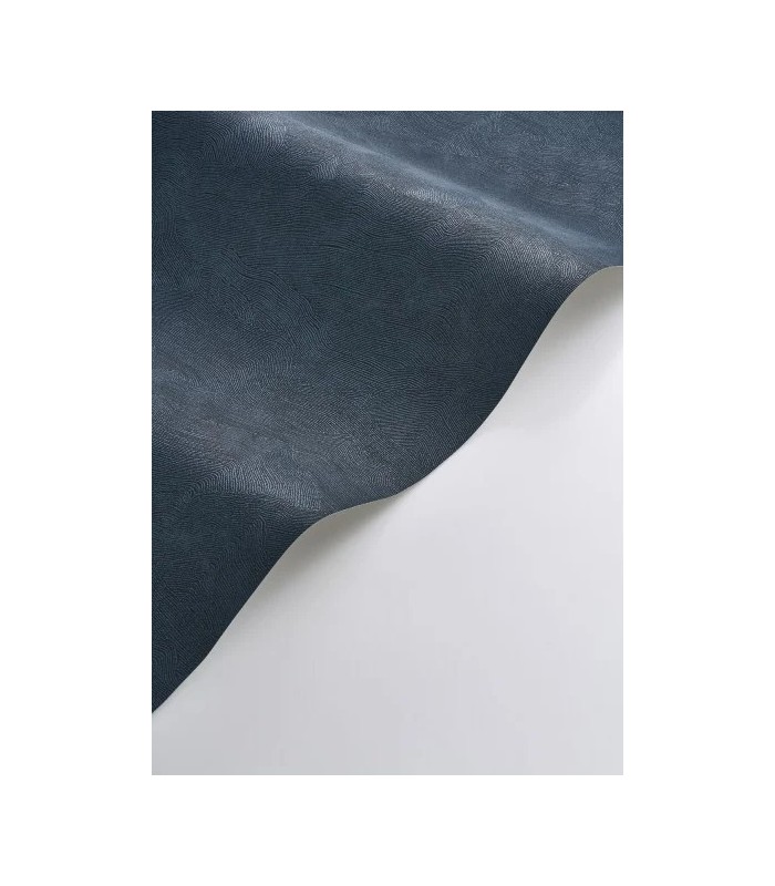 PP CASAD. CÔTE D'OPALE BLEU O. 20149 VINT