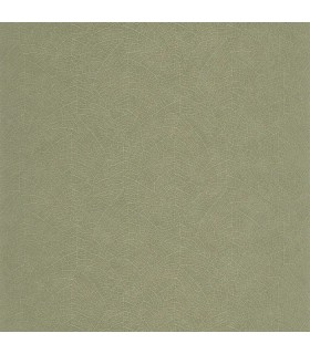 PP CASAD. NOLA VERT EUCAL. 20128 VUNT1