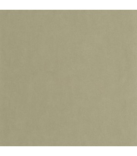 PP CASAD. MASAYA VERT LICHEN 8642 VUNT1