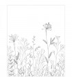 Papier-peint panoramique Caselio - Field Line Noir et Blanc - 200 x 280 cm - 10722