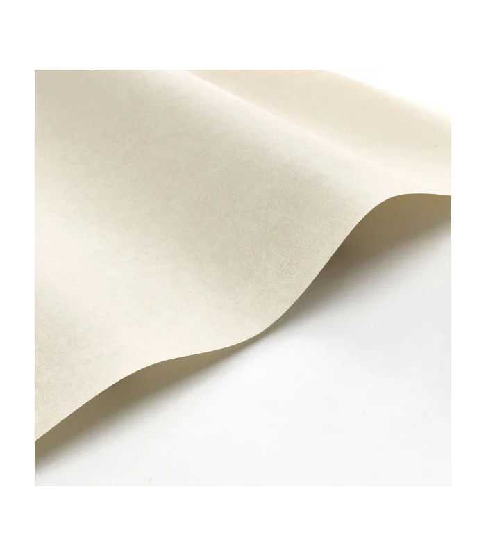 PP CASAD. COTTON TOUCH BEI. C. 8238 VUNT1