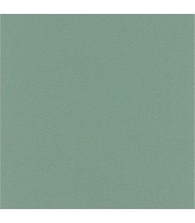 ERISMANN Papier Peint Vinyle Grainé sur Intissé Sauge réf. 6342-36