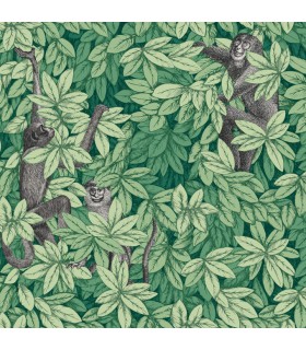 Papier peint FOGLIE E SCIMMIE - Collection FORNASETTI SENZA TEMPO 2 - COLE&SON - REF 123/10049