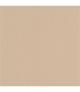 ERISMANN Papier Peint Vinyle Grainé sur Intissé Nude réf. 6342-32