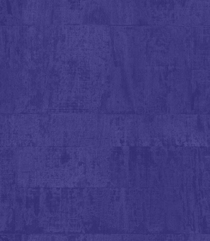 Papier peint effet matière bleu violet Elitis Atelier Artiste VP 880