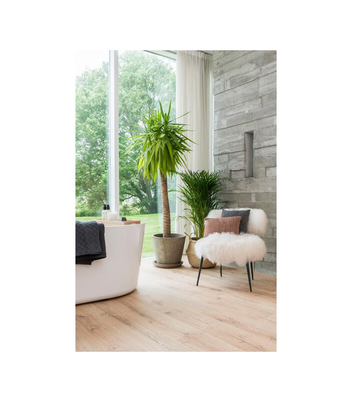 Parquet stratifié Ocean+ 8V4 - Canyon Natural - Résistant à l'eau - 1288 x 190 x 8 mm