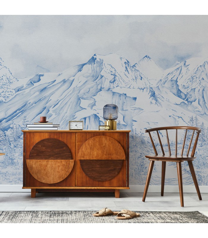 VALLEE DES BLEUETS VINYLE