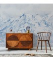 VALLEE DES BLEUETS VINYLE