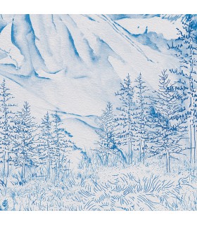 VALLEE DES BLEUETS VINYLE