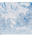 VALLEE DES BLEUETS VINYLE
