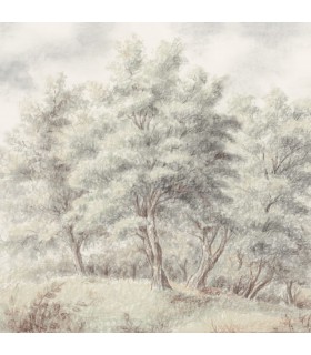 PANORAMIQUE KOMAR GROVE L 350 X H 250 CM, 7 LES