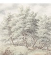 PANORAMIQUE KOMAR GROVE L 350 X H 250 CM, 7 LES