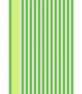 Papier Peint STRIPE - REF 61-02 - CORE FARROW&BALL