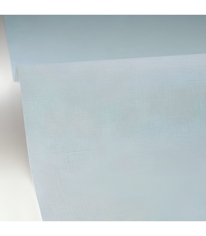 PP CASELIO UNI MAT BLEU FUMEE