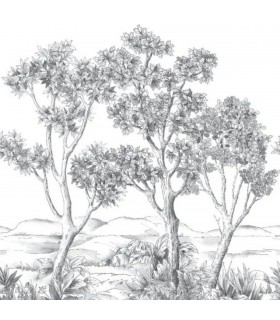 PANO CASAD.TERRE ACACIA NOIR L