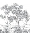PANO CASAD.TERRE ACACIA NOIR L