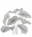 PANO CASAD.ALOCASIA NOIR   S