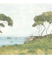 PANO CASAD.PINEDES LITTORALE S