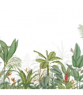 PANO CASAD.EDEN TROPICA.VERT S