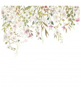 PANO CASAD.ORCHID VOL INTISS L