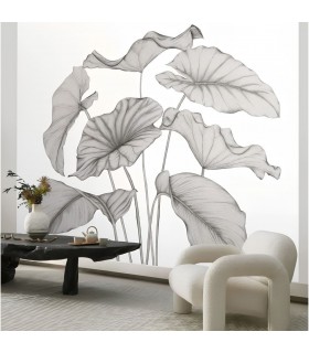 PANO CASAD.ALOCASIA NOIR   S