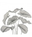 PANO CASAD.ALOCASIA NOIR   L