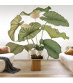 PANO CASAD.ALOCASIA VERT   L