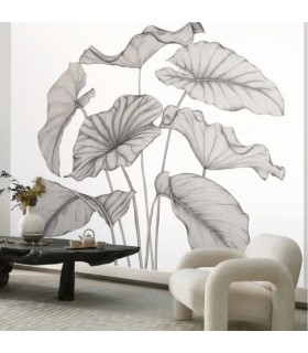 PANO CASAD.ALOCASIA NOIR   L