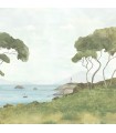 PANO CASAD.PINEDES LITTORALE M