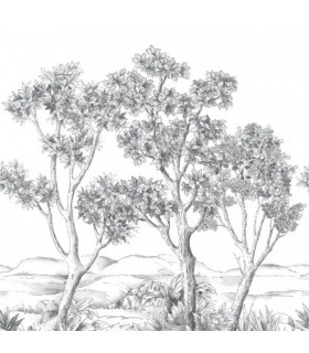 PANO CASAD.TERRE ACACIA NOIR S