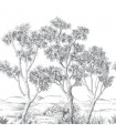 PANO CASAD.TERRE ACACIA NOIR S