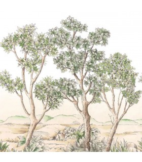 PANO CASAD.TERRE ACACIA VERT M