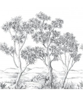 PANO CASAD.TERRE ACACIA NOIR M