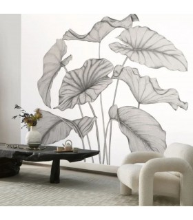 PANO CASAD.ALOCASIA NOIR   M