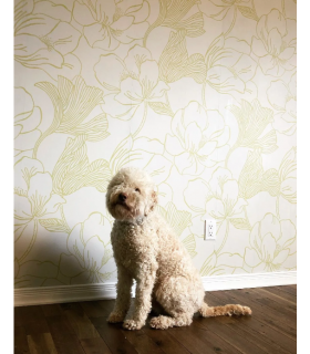 Papier Peint HELLEBORUS - REF 56-02 - CORE FARROW&BALL