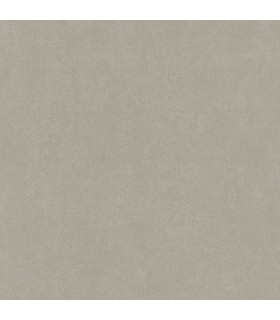 PP INT EXP UNI TAUPE