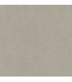 PP INT EXP UNI TAUPE
