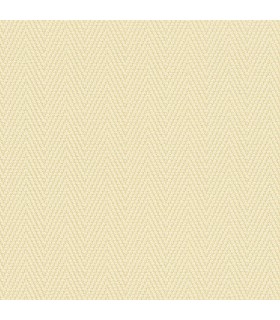 PP INT EXP CHEVRON JAUNE
