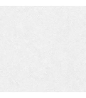 PP INT EXP UNI BLANC